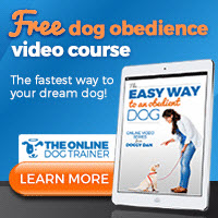Is your dog driving you crazy?