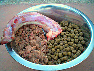 Picture of dog food bowl with wet dry raw foods